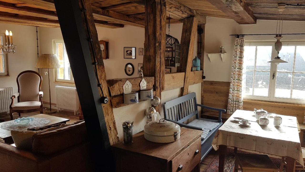 Historisches Fachwerkhaus "Hoher Hirschen" - Stilvolles Studio Und Museales Apartment Mit Romantischem Hof Und Garten Bodman-Ludwigshafen Exteriör bild