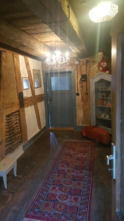 Historisches Fachwerkhaus "Hoher Hirschen" - Stilvolles Studio Und Museales Apartment Mit Romantischem Hof Und Garten Bodman-Ludwigshafen Exteriör bild